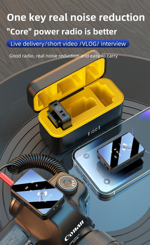 Wireless Microphone Kit - Professional Dual Mic System