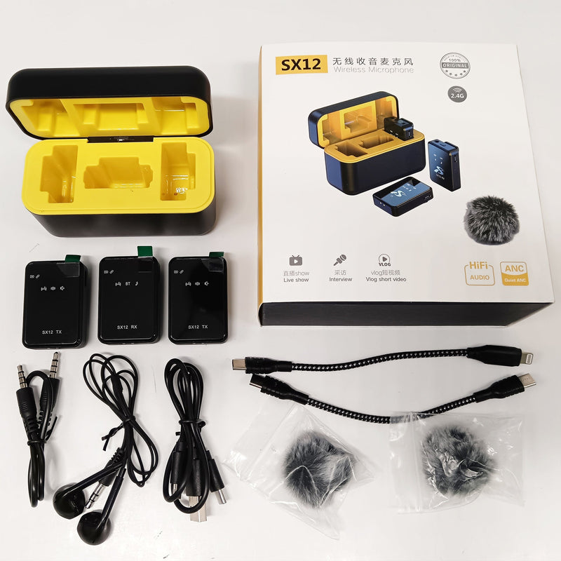 Wireless Microphone Kit - Professional Dual Mic System