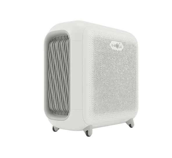 Air Purifier - HEPA Filter Air Cleaner for Home