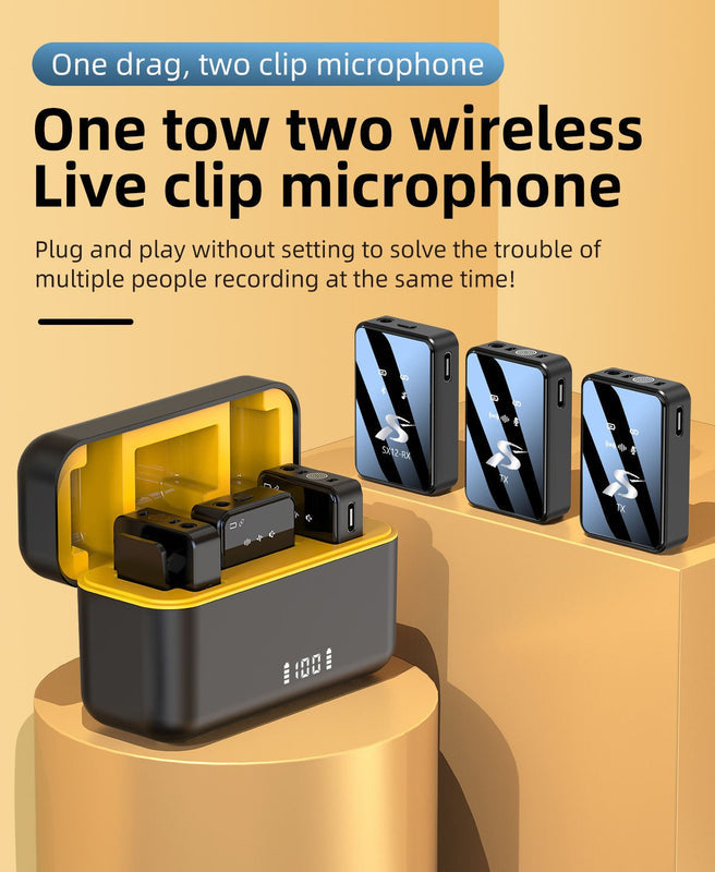 Wireless Microphone Kit - Professional Dual Mic System