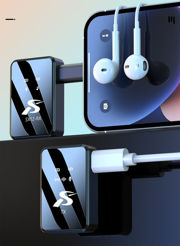 Wireless Microphone Kit - Professional Dual Mic System