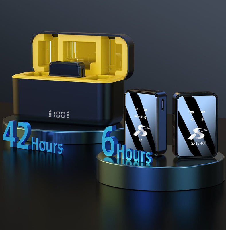 Wireless Microphone Kit - Professional Dual Mic System