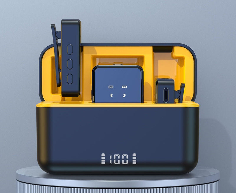 Wireless Microphone Kit - Professional Dual Mic System