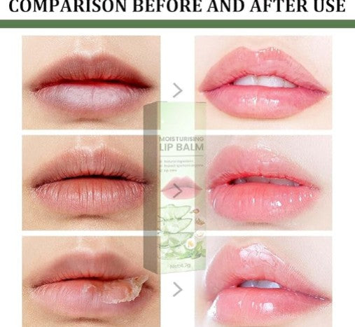 Eelhoe Moisturizing Lip Balm