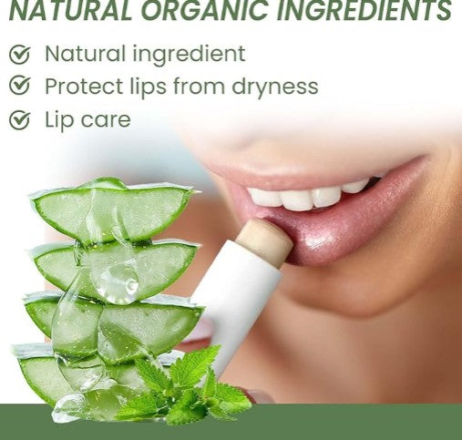 Eelhoe Moisturizing Lip Balm